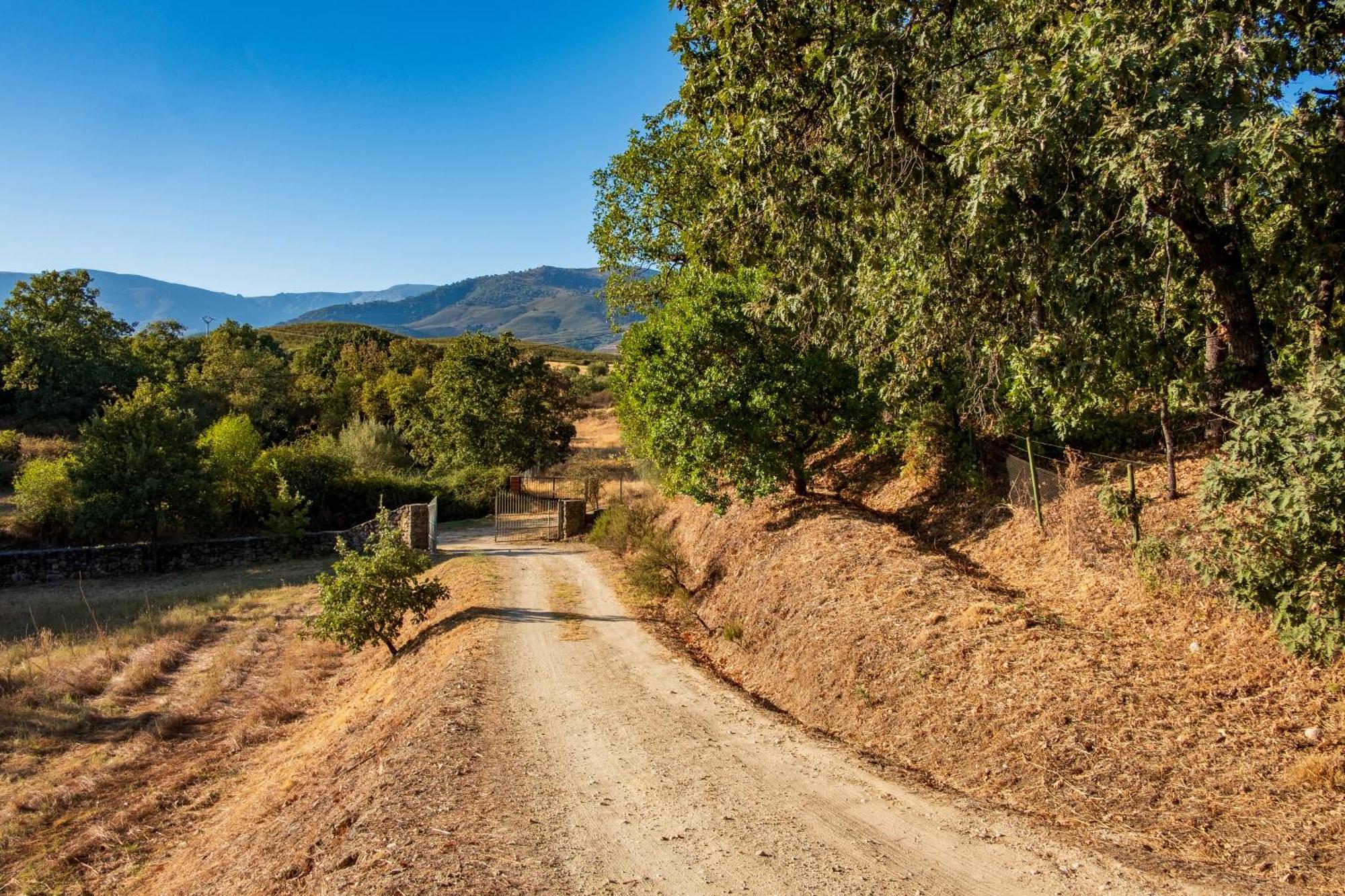 Penzion Amaltea Candeleda Exteriér fotografie